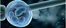 Preimplantation Genetic